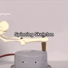 Spinning Skeleton Wheel GIF