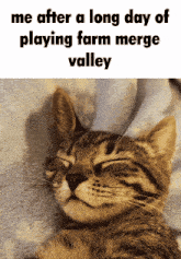 Farm Merge Valley Sleeeping GIF