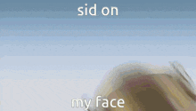 a blurred image of a dog with the words sid on my face