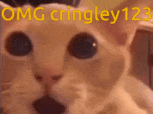 Cringley123 GIF - Cringley123 GIFs
