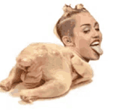 Chicken Miley GIF - Chicken Miley Ass GIFs