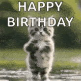 a kitten is standing on its hind legs in the water and saying happy birthday .