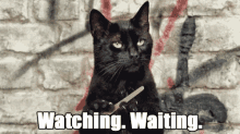 Plan Watching Waiting GIF - Plan Watching Waiting GIFs