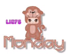 Monday Monkey Monday GIF - Monday Monkey Monday GIFs