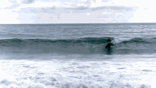 Slow Motion Surfing GIF