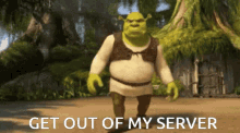 Shrek Get Out Of My Server GIF - Shrek Get Out Of My Server Get Out Of Here GIFs
