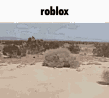 dry roblox