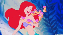 ariel little mermaid