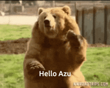 Hello Azu GIF - Hello Azu GIFs