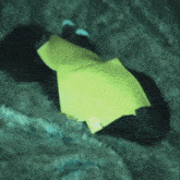 a yellow piece of paper is sticking out of a black object .
