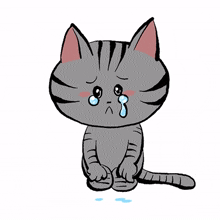cute cat kitty gray cry