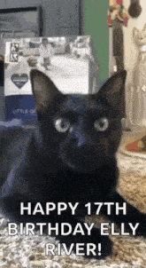 Cat Birthday GIF