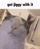 Jiggy Cat GIF - Jiggy Cat GIFs