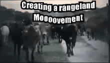 Livestock Moo GIF - Livestock Moo GIFs