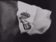 a close up of a flag with a crown on it