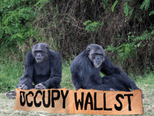 Wsb Wall Street Bets GIF - Wsb Wall Street Bets Apes Together Strong GIFs