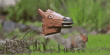 Quirrel Horsehead GIF - Quirrel Horsehead Feeder GIFs