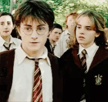 Harry Potter Hermione GIF - Harry Potter Hermione Annoyed GIFs