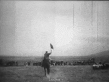 a black and white photo of a man on a horse holding a flag in a field .