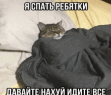 a cat wrapped in a black blanket with russian writing