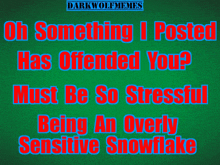 a green background with the words oh something i posted has offended you
