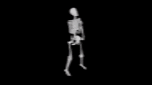 Skeleton Dance GIF - Skeleton Dance Skelet GIFs