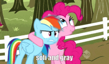 pinkie pie and rainbow dash from my little pony are standing next to each other with the caption " sofi and gray "