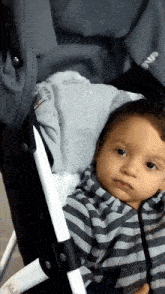a baby is sitting in a stroller with the word everest on the back