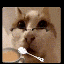 a close up of a cat with glasses and a spoon in its mouth