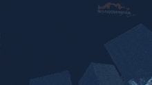 a shadowshak logo is displayed on a dark background