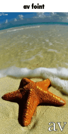 Foint Starfish GIF
