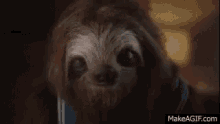 Stoner Sloth GIF - Stoner Sloth Worse On Weed GIFs