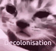 Decolonisation Sad GIF - Decolonisation Sad Crying GIFs