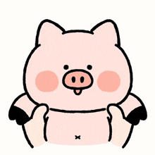 猪 GIF - 猪 GIFs