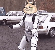 Cat Cats GIF - Cat Cats Mars Cats Voyage GIFs