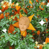 a star with a man 's face on it is surrounded by leaves and fruit