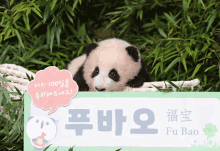Panda Pubao GIF - Panda Pubao GIFs