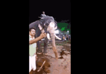 Elephant Elephant Bless GIF - Elephant Elephant Bless Senthil GIFs