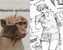 a picture of a monkey next to a drawing of a person with the word neuron activated