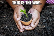 This Is The Way Mandalorian GIF - This Is The Way Mandalorian Planting GIFs