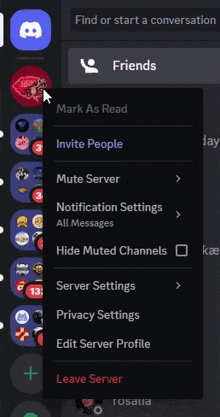 a screenshot of a discord app shows the leave server button