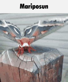 Monsters Of Etheria Mariposun GIF - Monsters Of Etheria Mariposun GIFs
