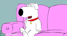 Family Guy Story Of Family Guy GIF - Family Guy Story Of Family Guy Daemonius GIFs