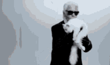 Choupette GIF - Choupette Karl Lagerfeld GIFs