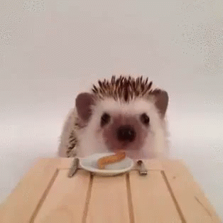hedgehog ornament ❀* かわいい ハリネズミさん-