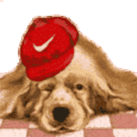 Cute Dog Sticker - Cute Dog Funny Stickers