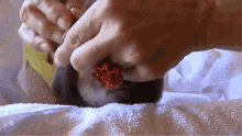 Hang In There Cute GIF - Hang In There Cute Baby GIFs