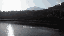Perfect Landing This Is Happening GIF - Perfect Landing This Is Happening Bird Landing GIFs