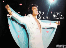 Elvis Presley American Singer GIF