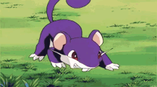 Rattata GIF - Rattata Pokemon Attack GIFs